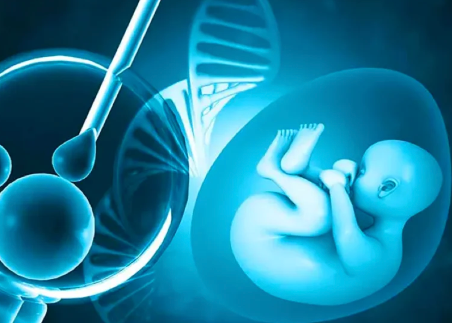 Affordable IVF in Turkey: 2026 Costs & High-Success Results related image