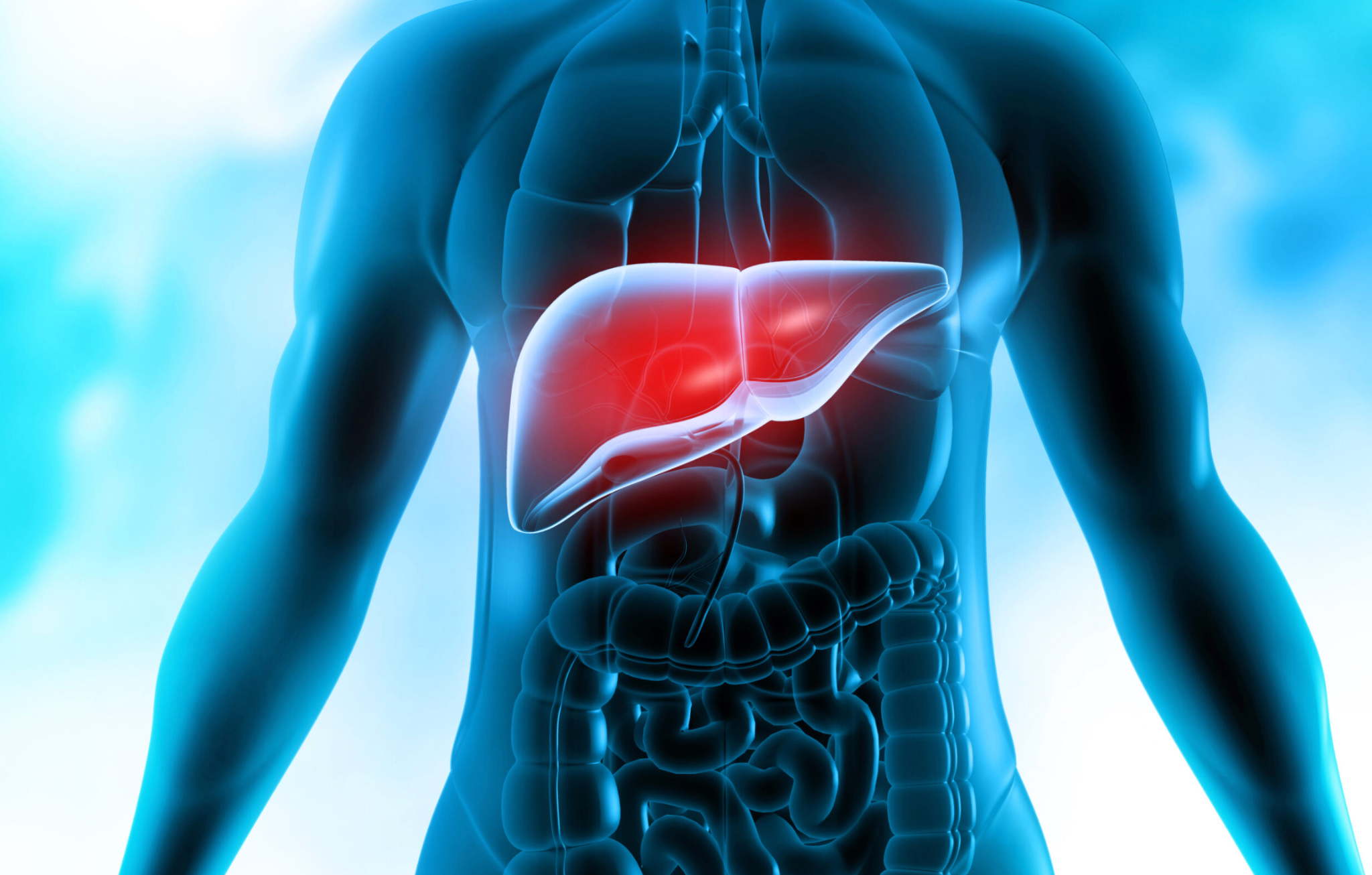The Ultimate Guide to Liver Transplant Cost in Turkey related image