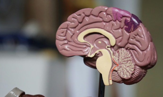 Brain Tumour Treatment in Turkey | 2026 Costs, Clinics related image