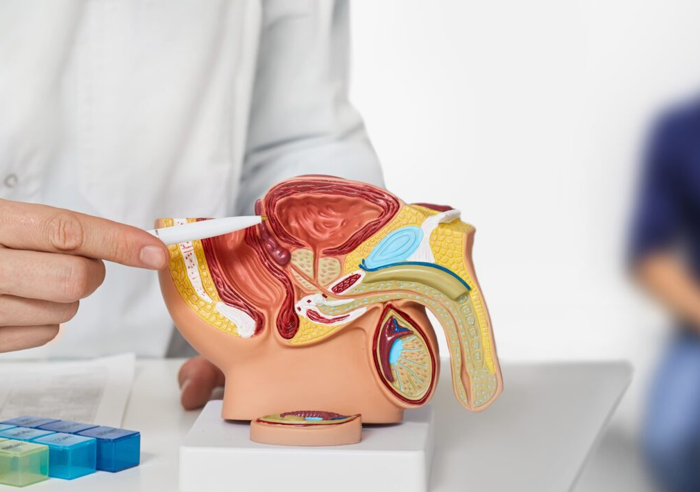 Bladder Cancer Treatment in Turkey | 2026 Costs & Prices related image