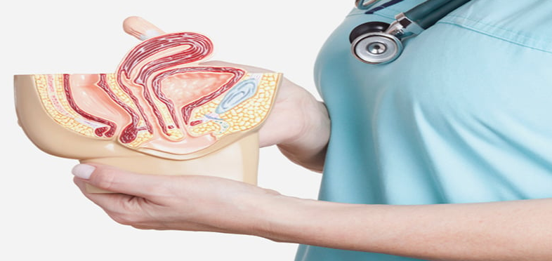 Bladder Cancer Treatment in Turkey | 2026 Costs & Prices related image
