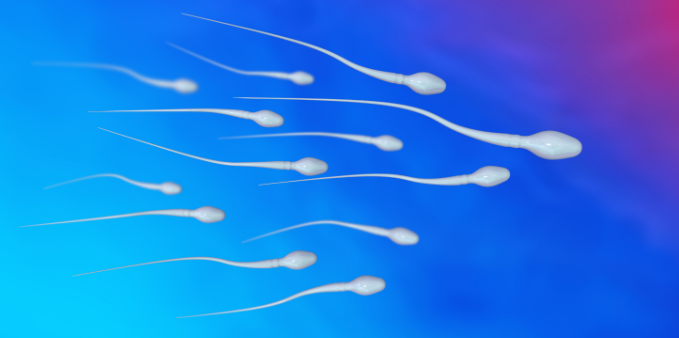 Low Sperm Count Treatment in Turkey related image