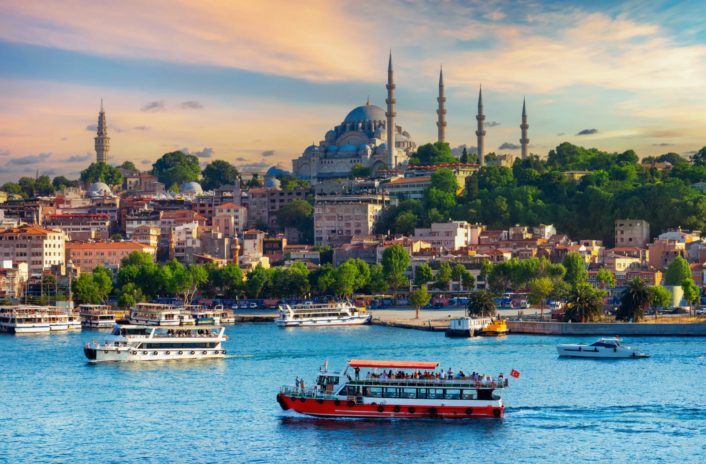 Bone Marrow Transplant in Turkey: Costs, Clinics, Surgeons related image