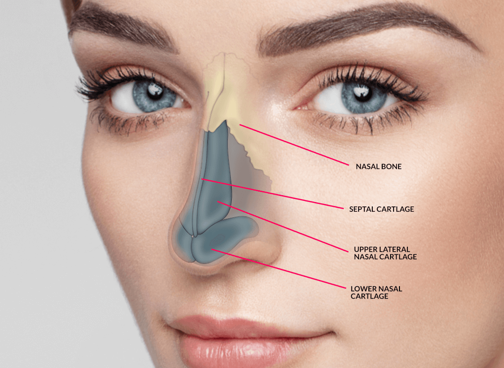 Nose Job Turkey - Affordable Rhinoplasty Packages from 2000€ related image