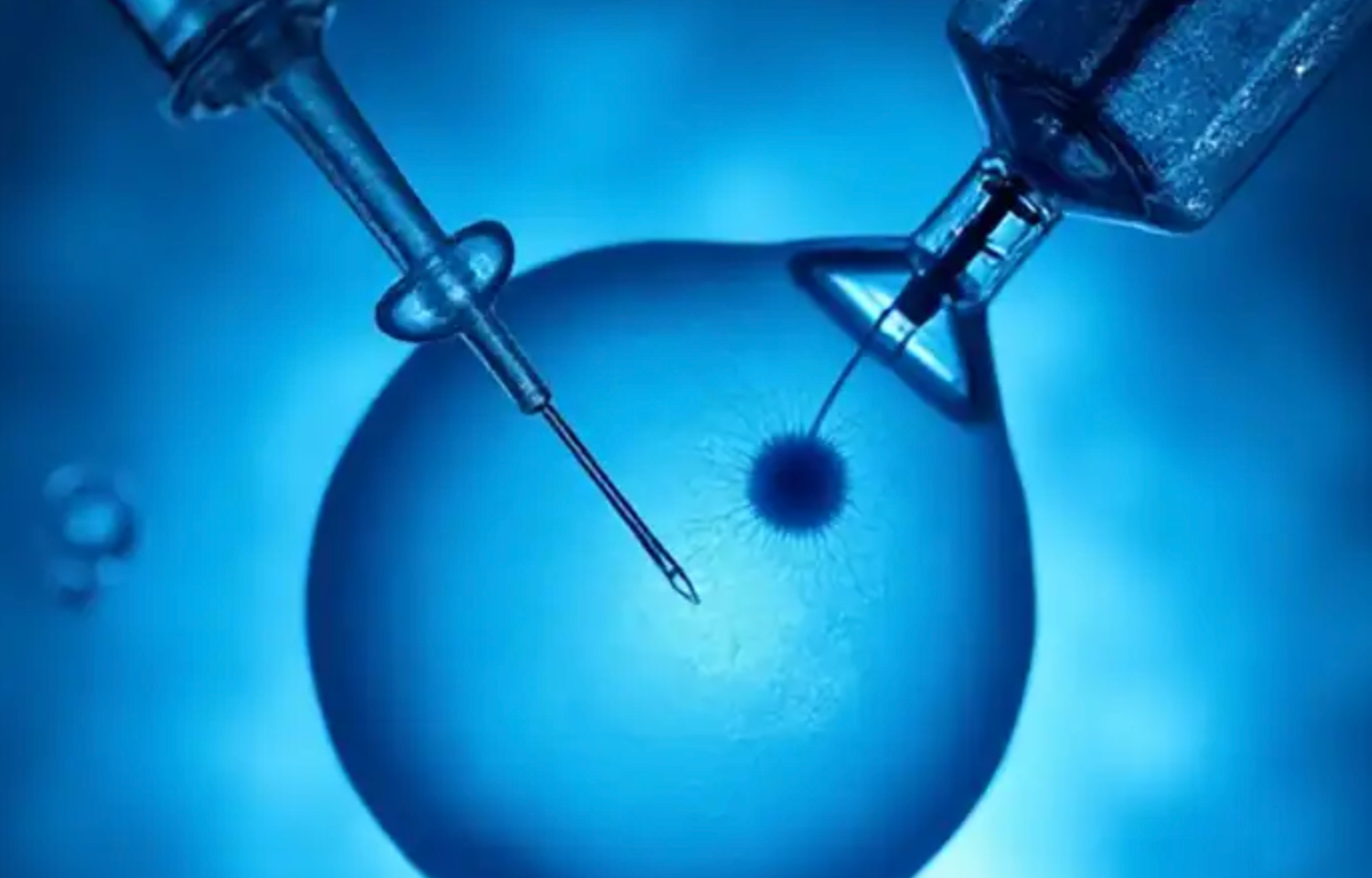 Affordable IVF  in Turkey: 2026 Costs & High-Success Results related image