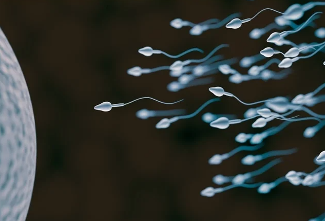 Low Sperm Count Treatment in Turkey related image