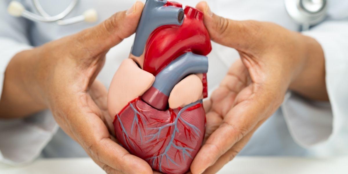 Heart Transplant Abroad related image