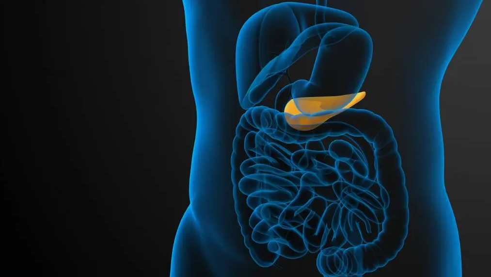 Pancreas Transplant Abroad related image