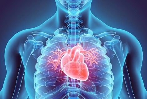 Heart Transplant Abroad related image