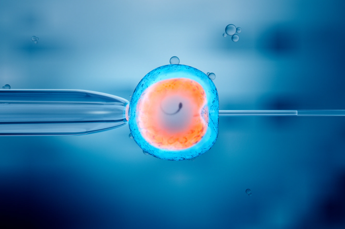 IVF in Spain | 2026 Costs & Best Clinics related image