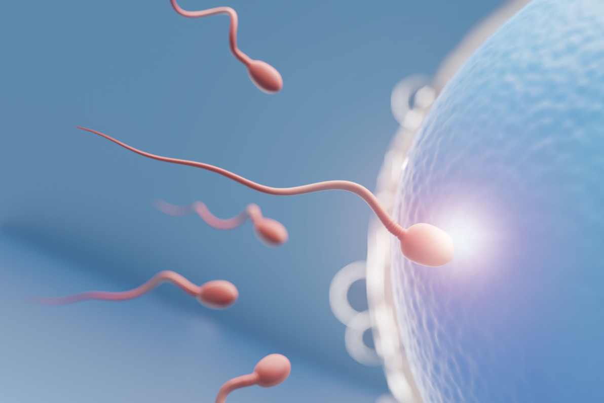 IVF in Spain | 2026 Costs & Best Clinics related image