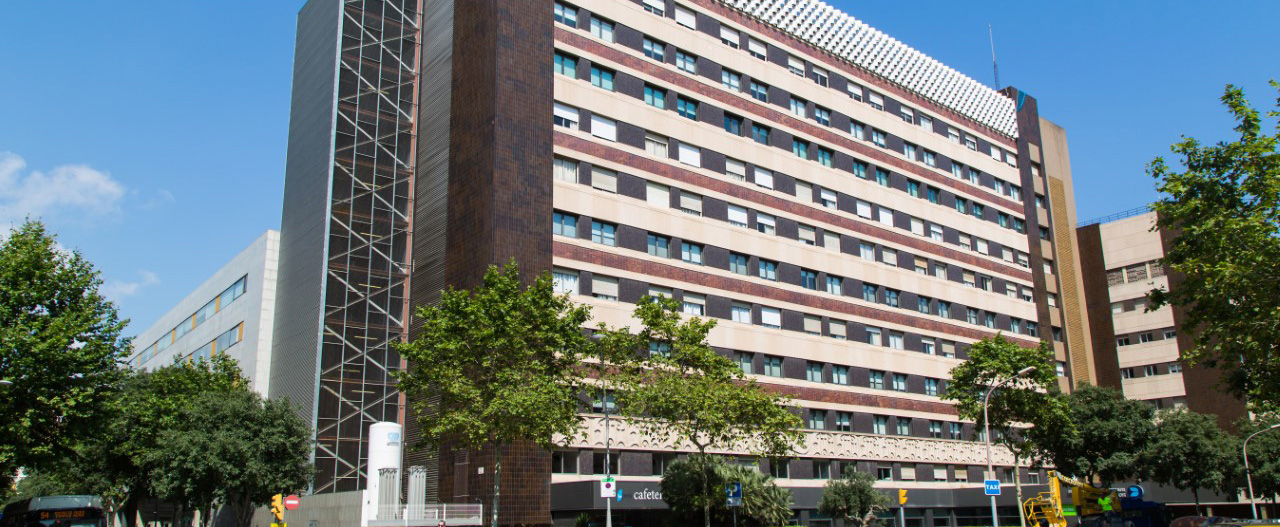 Orthopedics & Traumatology in Spain related image