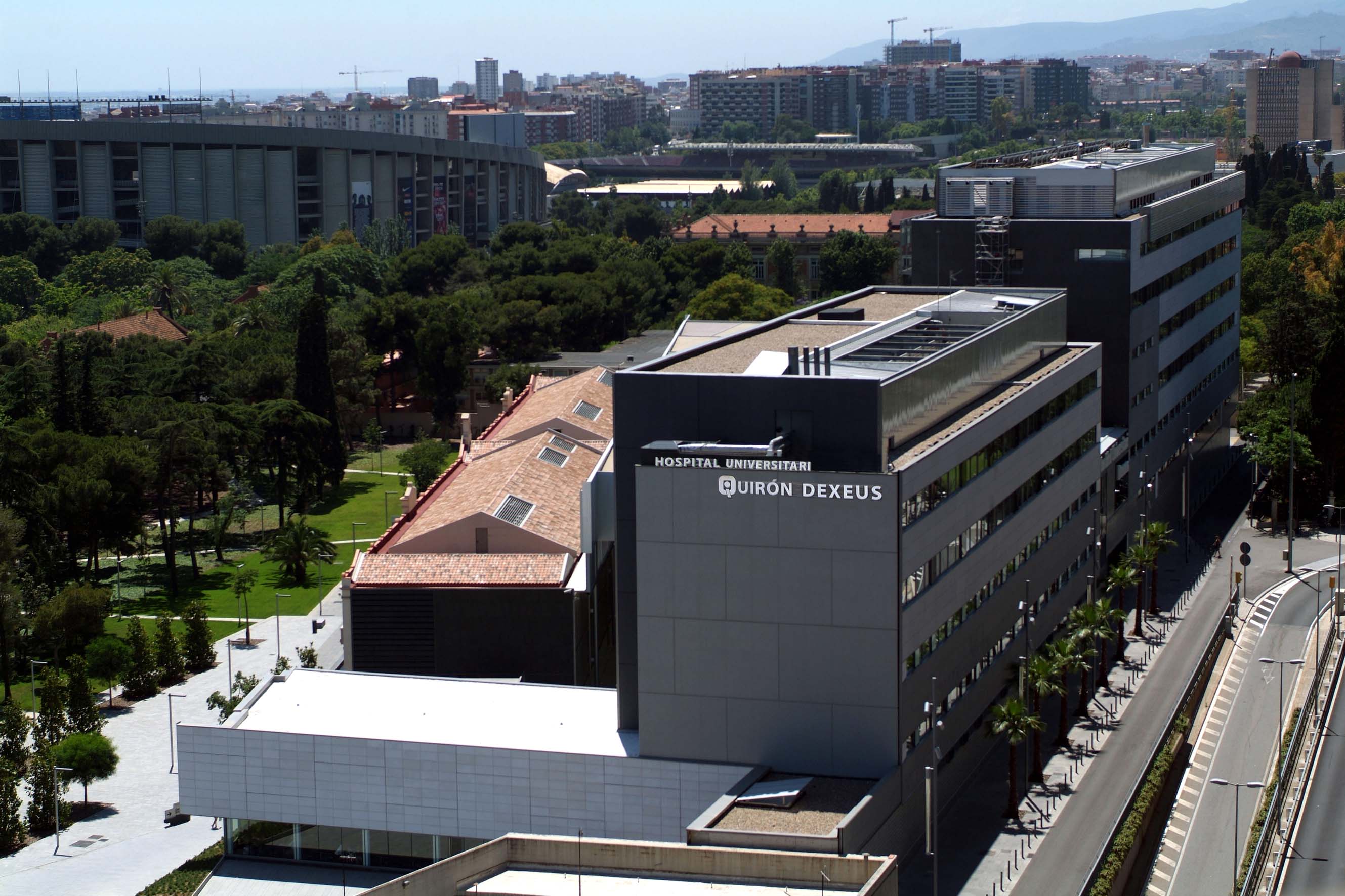 Orthopedics & Traumatology in Spain related image