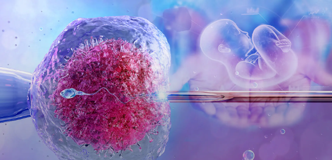 IVF in Spain | 2026 Costs & Best Clinics related image