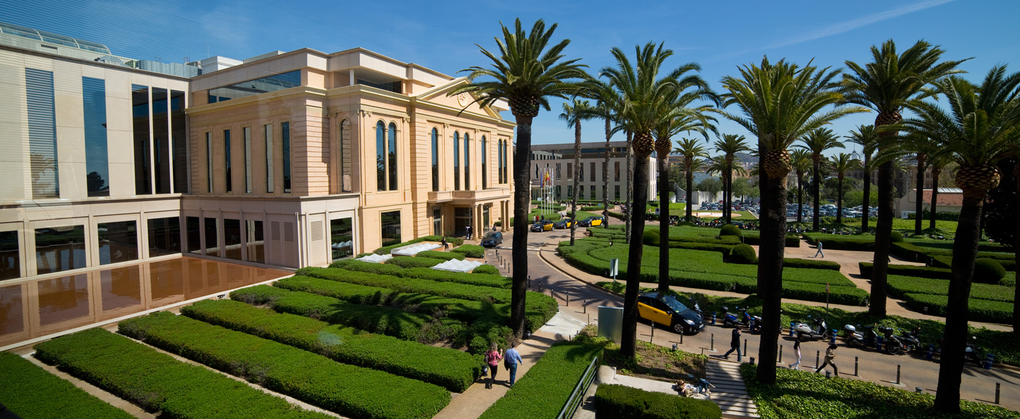 Orthopedics & Traumatology in Spain related image